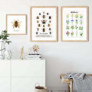 Bees of the world set of 18 art prints Art collection Montessori learning Montessori education Gifts for bee lovers Home decor image 4