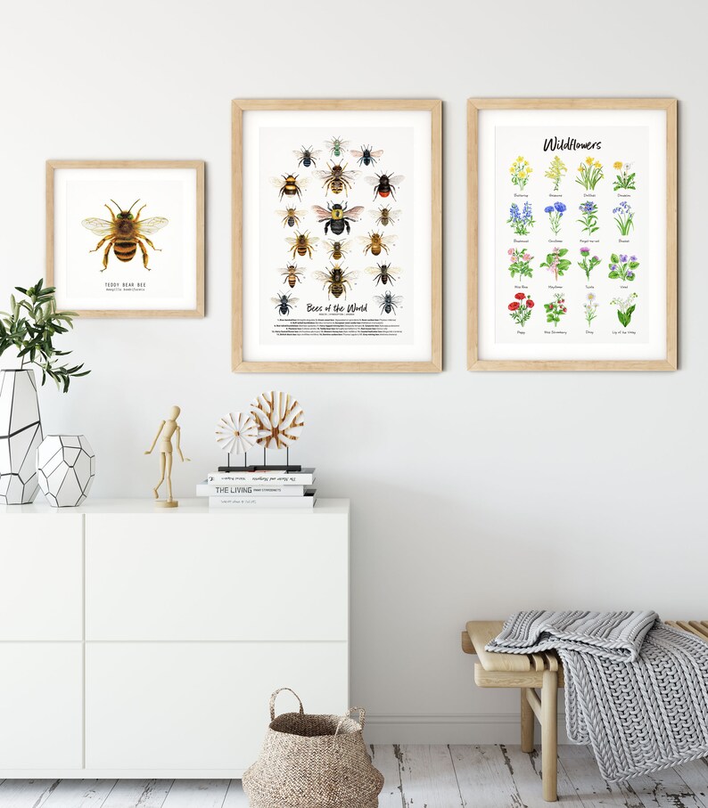 Bees of the world set of 18 art prints Art collection Montessori learning Montessori education Gifts for bee lovers Home decor image 4