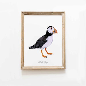 Atlantic Puffin watercolour art print Nautical theme wall decor Beach house wall art Bird poster Nursery decor Housewarming gift image 9