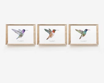 Set of 3 watercolor hummingbird prints | living room, dining, bedroom, bathroom wall art décor | farmhouse gift gifts for bird lover