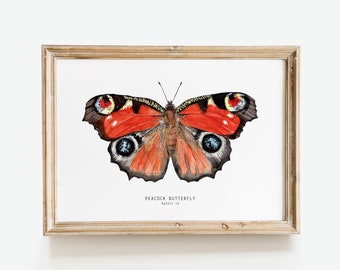 Impression d’art aquarelle papillon paon | Aglais io - Cadeau affiche papillons européens | beaux-arts de mur de salon | décoration d'intérieur sur le thème des insectes