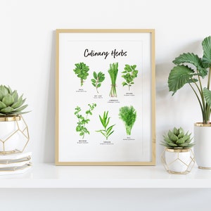 Set of 2 Botanical Herbs prints Herbs wall art for the kitchen Gardening gift Housewarming gift Foodie gift Herb Kitchen decor image 2