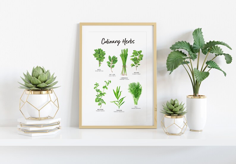 Set of 2 Botanical Herbs prints Herbs wall art for the kitchen Gardening gift Housewarming gift Foodie gift Herb Kitchen decor image 2