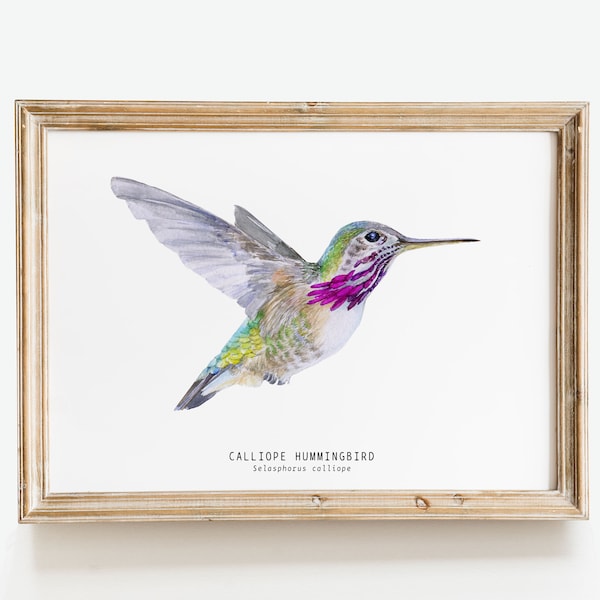 Watercolour Etsy Australia