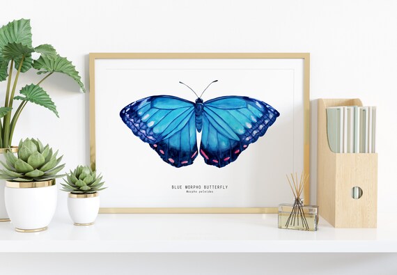 モルフォ蝶　貼り絵　芸術品 ブルーモルフォ蝶の壁アート | モルフォペレイデス – 皇帝の壁飾り