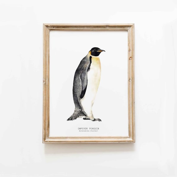 ペンギンの水彩画 木製フレーム付き （ペンギン/レトロ penguin