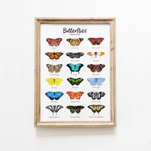 Schmetterling Kunstdruck | farbenfrohe Wohnzimmer Wanddeko | Geschenk für Mädchen | Schmetterlinge Aquarellmalerei | Haus, Kinderzimmer, Schlafzimmer Plakat