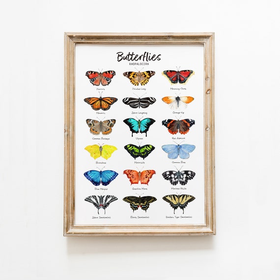 Butterfly art print | colorful living room wall décor | gift for girl | butterflies watercolour painting | home, nursery, bedroom poster