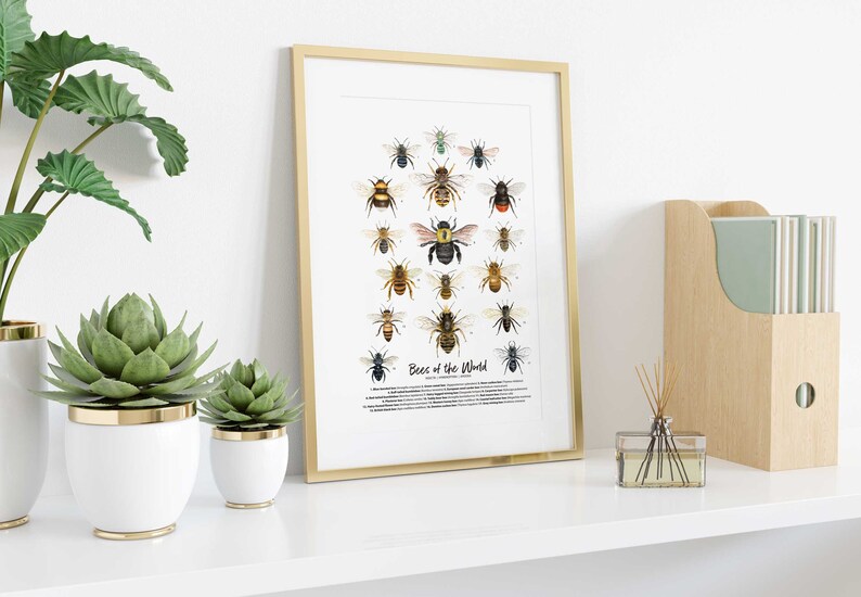 Bees of the World art print Homeschool & Montessori learning education Bumblebee Honey bee poster Living room, bathroom, bedroom décor image 3