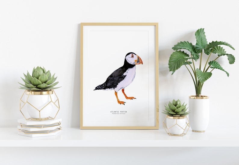 Atlantic Puffin watercolour art print Nautical theme wall decor Beach house wall art Bird poster Nursery decor Housewarming gift image 2