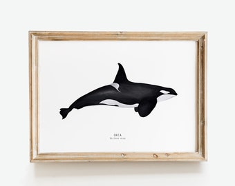 Orca watercolour print | Whale wall decor | Orca wall art | Nursery whale art | Whale bathroom decor | Gifts for whale lovers