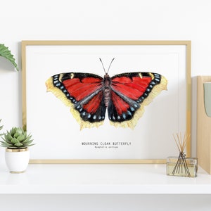 Mourning Cloak Butterfly Art Print | Nymphalis Antiopa Décor ...