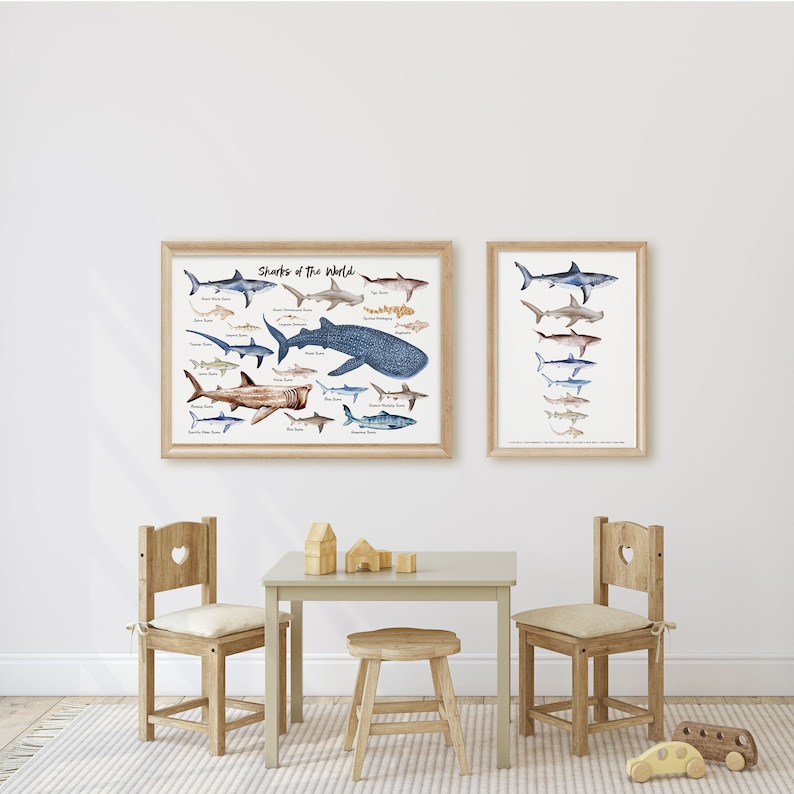 Sharks of the World wall art Nautical home decor Ocean animals wall decor Housewarming gift Nursery decor Beach decor Shark gift image 6