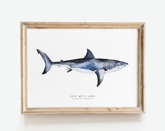 Arte dell'acquerello dipinta a mano del grande squalo bianco / decorazione della parete della casa sulla spiaggia / regalo per gli amanti degli squali / poster di Carcharodon carcharias / stampa