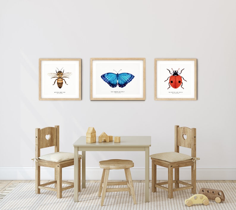 Bees of the world set of 18 art prints Art collection Montessori learning Montessori education Gifts for bee lovers Home decor image 7