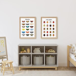 May include: Two framed educational posters for children, one titled "Butterflies" and the other "Lady Beetles". Each poster features colorful illustrations of various insects. The posters are displayed on a white wall above a gray bookshelf with wooden legs.