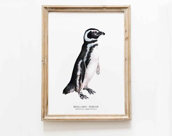 Magellanic Penguin print | hand painted watercolor art | beach house wall décor | nursery wall poster | 8X10 gift Spheniscus magellanicus