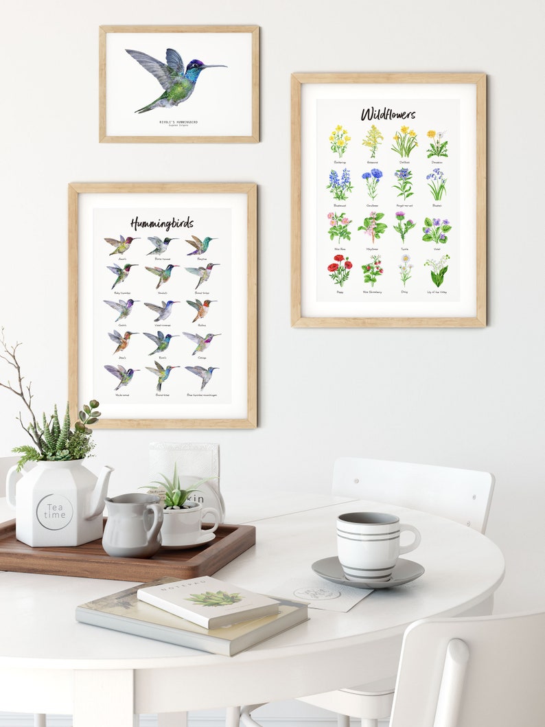 Rivolis Hummingbird watercolor fine art print birds poster gift nature wall art Magnificent Refulgent hummingbirds Eugenes fulgens image 5