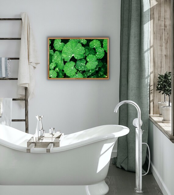 Green Plants Wall Art Spa Decor Rain Photography Digital Canada - Spa Wall Art Canada Green Plants Wall Art Spa Decor Rain Photography Digital Canada - Spa Wall Art Canada