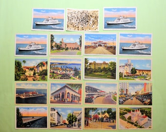 VTG 40's 50's / Florida Travel Photo Post Card Lot of 14 / Unused / Linen / St Petersburg Sites