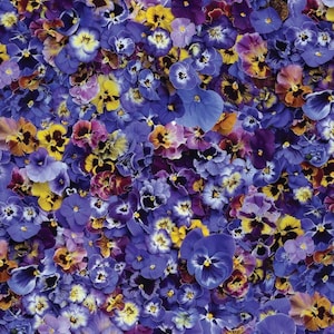 May include: A close-up image of a variety of colorful pansies. The pansies are a mix of purple, yellow, white, and brown.