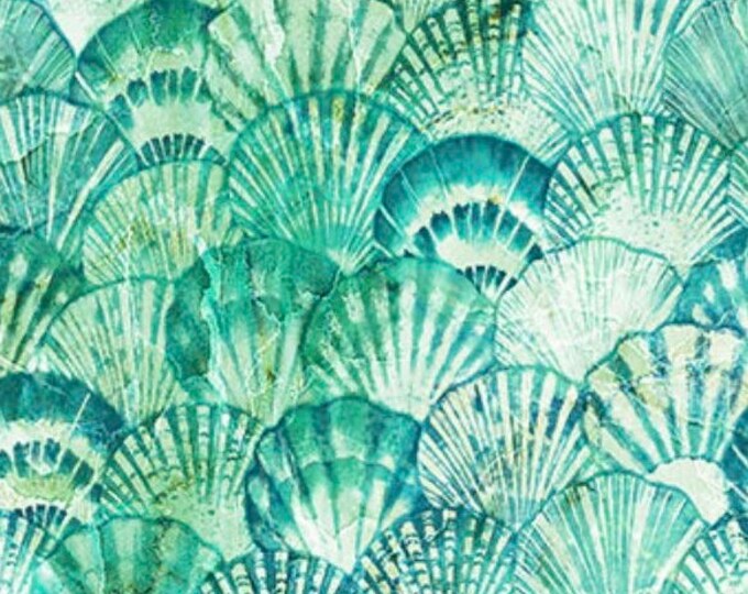 Shells-turquoise-vitamin Sea Collection-clam Shell-northcott-deborah ...
