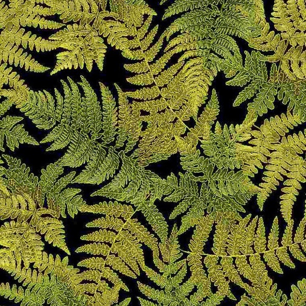 Fall Glory Fern Leaves-Metallic Gold-by Timeless Treasures-Autumn- Green Black-100 Percent Cotton-CM8525-Cut to size