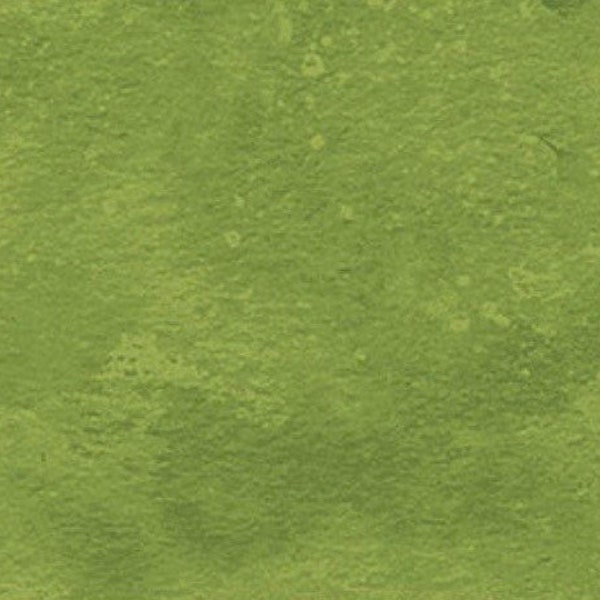 Green Tone on Tone-Aloe Vera-100 Percent Cotton-Northcott Toscana Collection by Deborah Edwards-9020-731-Quilting Cotton-Cut to size