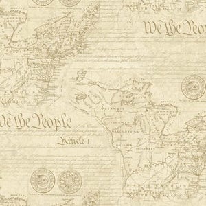 May include: A vintage-style map of the United States with the text "We the People" and "Article 1" in a parchment-like color. The map features detailed illustrations of the states and surrounding areas, with decorative circular emblems.