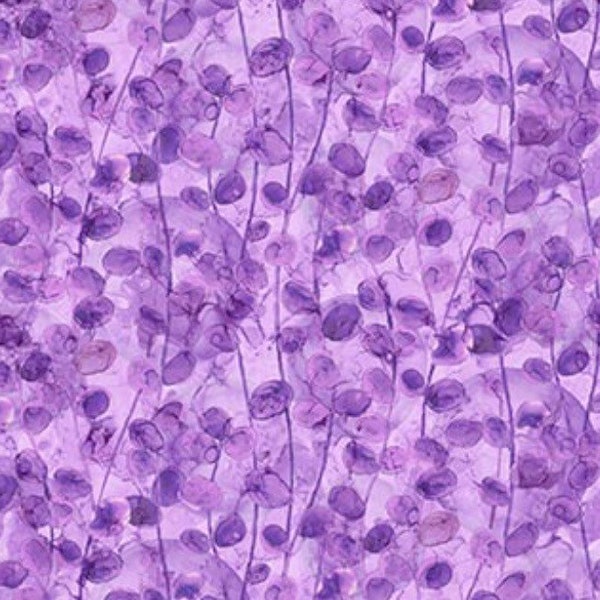Modern Love-Leaves-Dark Purple-Northcott-Deborah Edwards and Melanie Samra-Vibrant Watercolor-100% Cotton-Quilt-DP24444-84-Cut to size