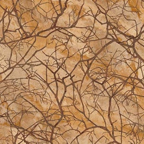 Branches-Tan-Windswept Collection-Stonehenge-Lucivido-Northcott-Autumn-100 Percent Cotton-24933-14-Cut to size