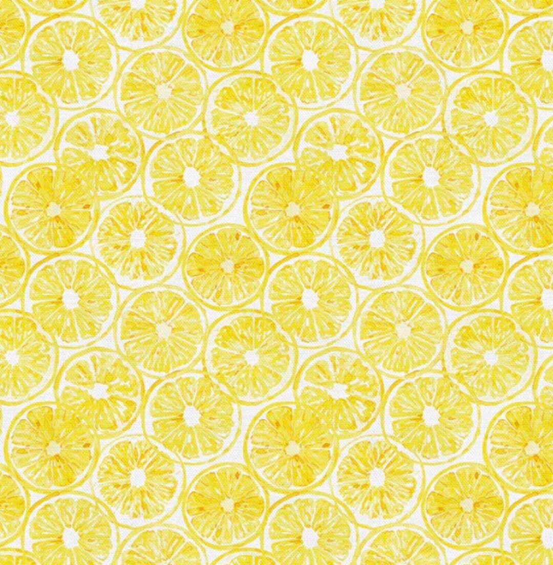 Lemon Slices-white-sweet and Sour Collection-paint Brush Studios-fruit ...