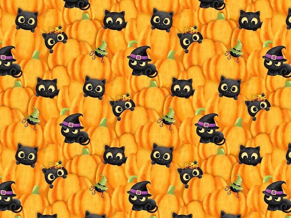 Pumpkins-Orange-Black-Double Bubble Kitty Trouble Collection-Magic-Cat-Fernanda Motta-26960-54-Cut to size