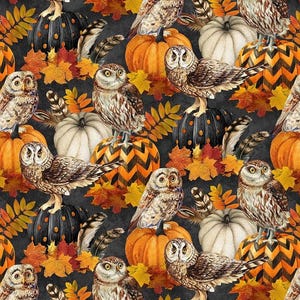 May include: A repeating pattern on a dark background featuring brown and white owls perched on various pumpkins, including orange, white, and black-and-orange chevron-striped varieties, interspersed with colorful autumn leaves and feathers.