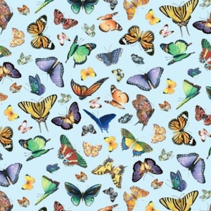 Butterflies-Blue-Delicate Creation Collection-Elizabeth Studios-100 Percent Cotton-Quilting Cotton-34003-Cut to Size
