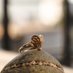 May include: A gold-colored ring with a ram's head design. The ring is sitting on a brown rock.