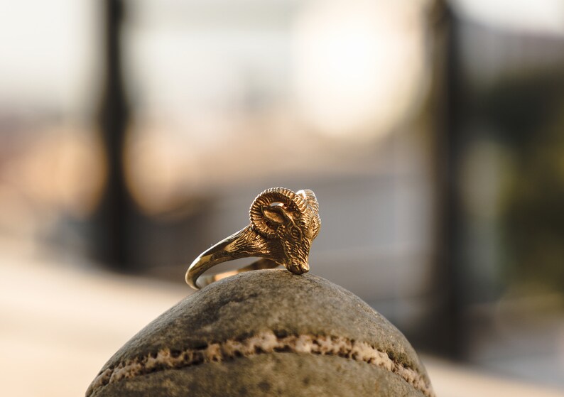 May include: A gold-colored ring with a ram's head design. The ring is sitting on a brown rock.