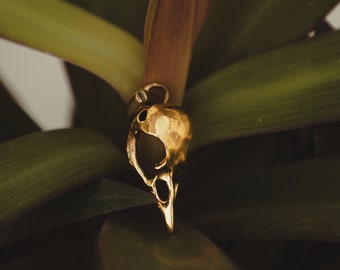 Bird Skull Pendant