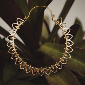 May include: A gold hoop earring with a delicate, intricate design featuring small, rounded accents. The earring is set against a backdrop of green foliage.