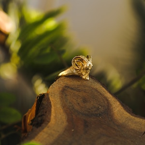 Ram Ring
