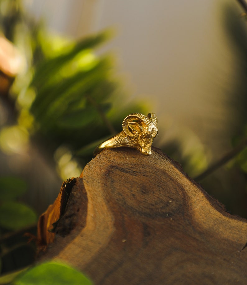 May include: A gold-colored ring with a detailed ram head design. The ring is sitting on a piece of wood.