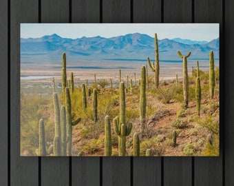 Original Desert Photograph Acrylic Print 18"x12" by Birch Bend Studios