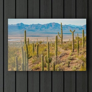 Impressão acrílica de fotografia original do deserto 18 &quot;x 12&quot; por Birch Bend Studios