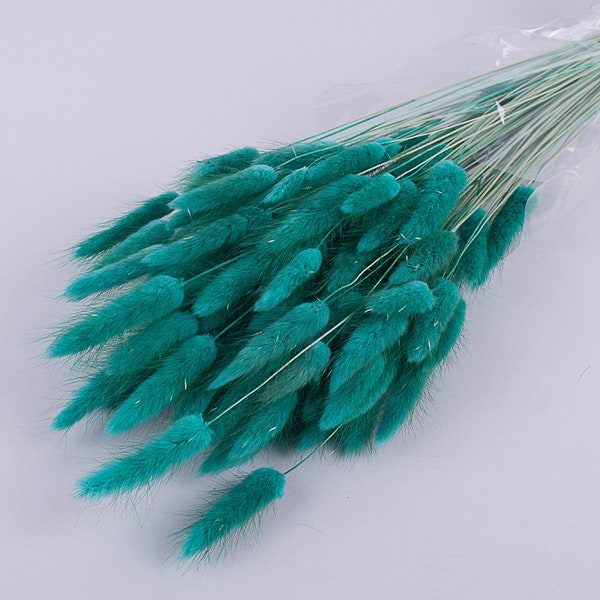 Teal Bunny Tails, Rabbit Tails, Dried Flowers For Boho Home Decor, Boho Bridal Bouquet,Lagurus Dried grass, Natural grass