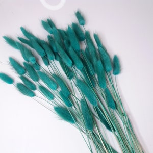 Teal Bunny Tails, Rabbit Tails, Dried Flowers For Boho Home Decor, Boho Bridal Bouquet,Lagurus Dried grass, Natural grass image 5