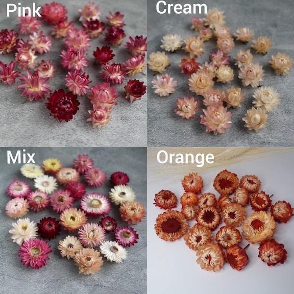 20  Strawflower Heads, Dried Strawflower heads for crafting,Dried Craft Flowers, Real Dried Flowers