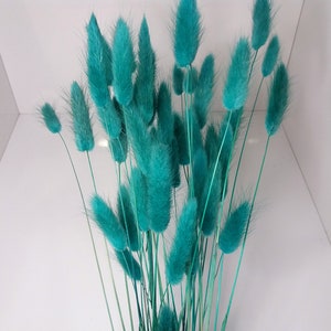 Teal Bunny Tails, Rabbit Tails, Dried Flowers For Boho Home Decor, Boho Bridal Bouquet,Lagurus Dried grass, Natural grass image 8