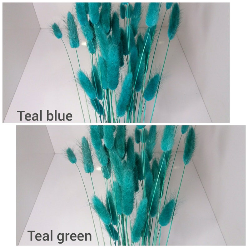 Teal Bunny Tails, Rabbit Tails, Dried Flowers for Boho Home Decor, Boho