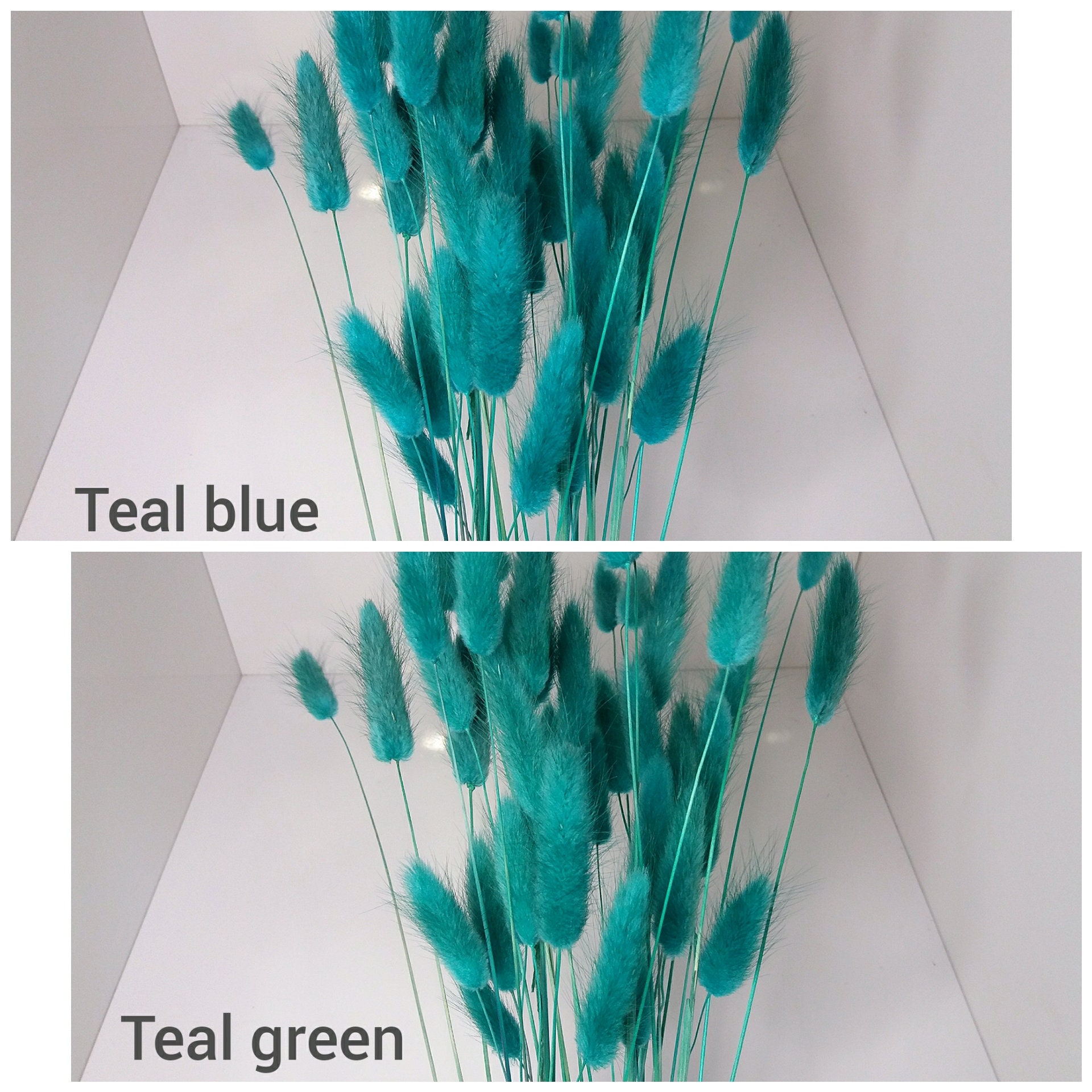 Teal Bunny Tails Rabbit Tails Dried Flowers for Boho Home Etsy