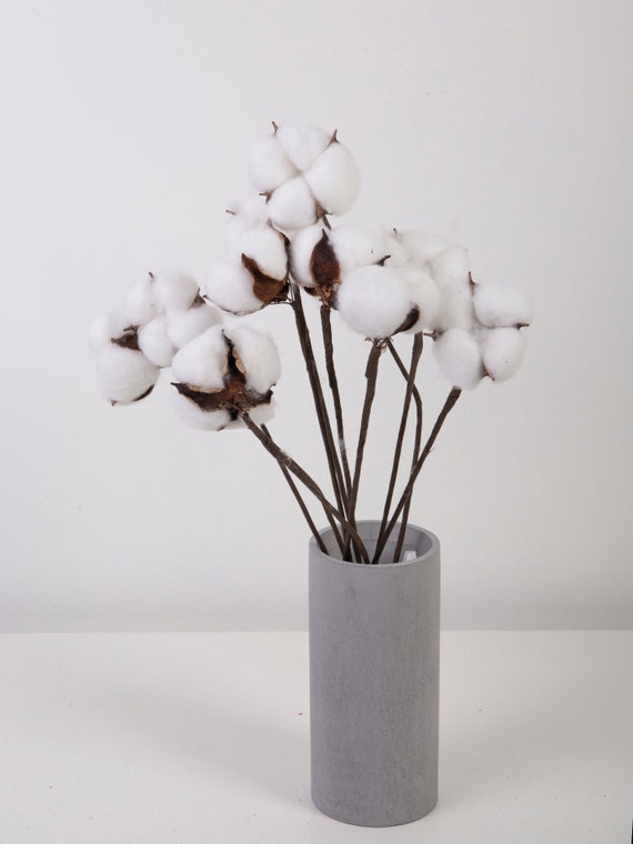 HAKACC Décoration En Coton, 3 Pièces De Coton Naturellement Séché Décoration Fleurs Séchées
